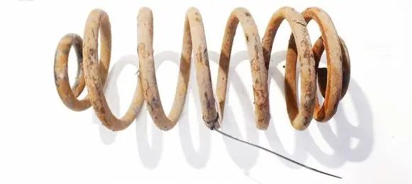 Rear coil spring