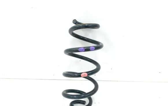 Nissan Rogue Rear coil spring