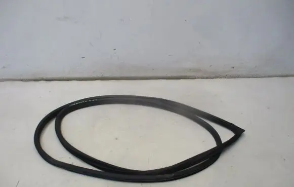 Nissan Murano Z51 Front door rubber seal