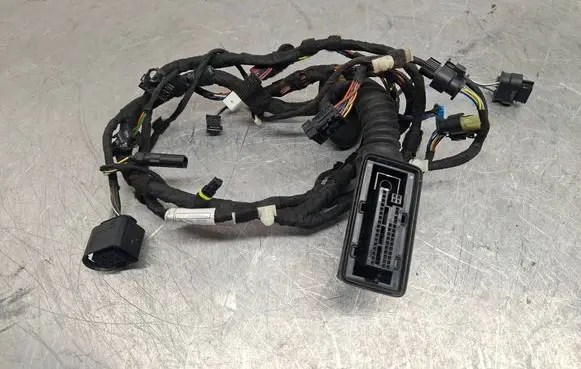 BMW X5 F15 Front door wiring loom 9365815 9364908