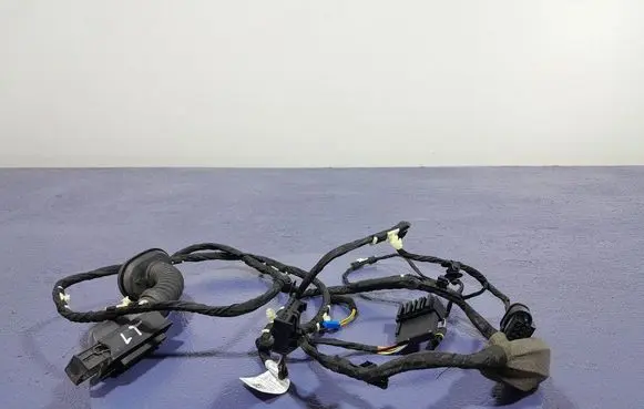BMW X5 E53 Other wiring loom 8779817