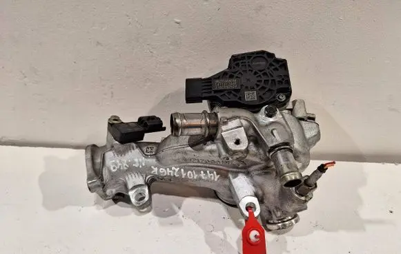 Renault Scenic IV - Grand scenic IV EGR valve H8201684044
