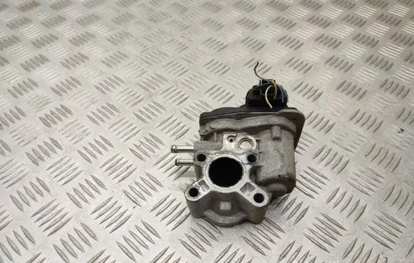 EGR valve