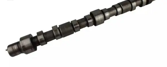 Fiat Ducato Camshaft 504006993