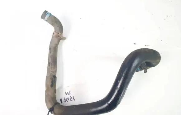 Citroen Xsara Engine coolant pipe/hose