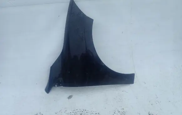 Renault Megane III Front door
