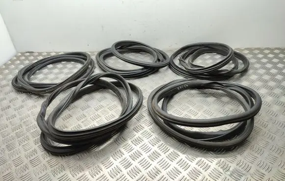 Mini Cooper Countryman R60 Front door rubber seal