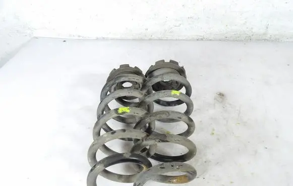 Renault Captur Rear coil spring 