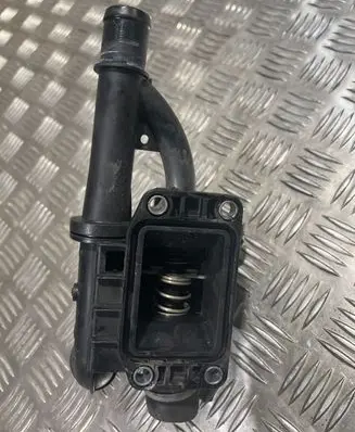 Thermostat/thermostat housing