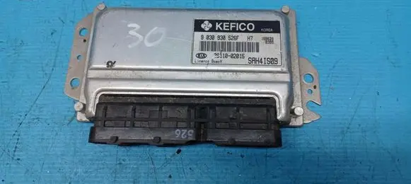 KIA Picanto Engine control unit/module 3911002015
