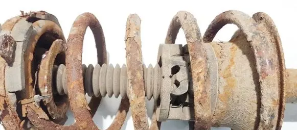 Renault Scenic I Front coil spring