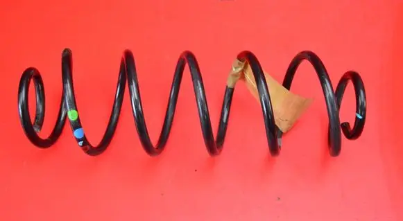 Rear coil spring