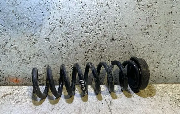 Rear coil spring