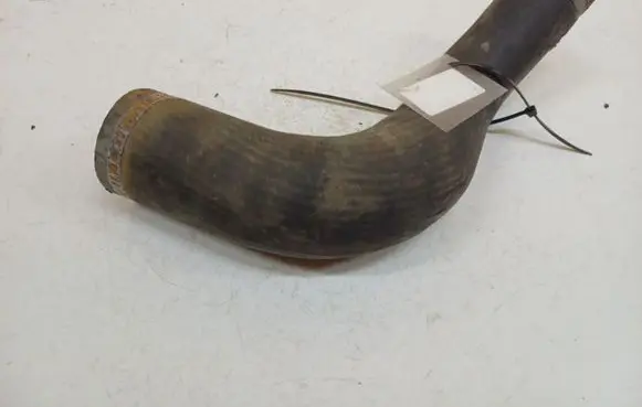 Ford Focus Intercooler hose/pipe