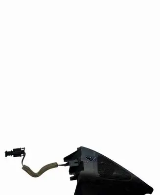 Volkswagen PASSAT B6 Front door speaker 3C0837994