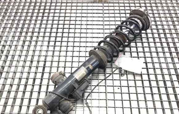 Rear shock absorber/damper