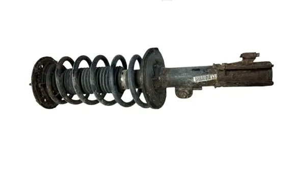 Opel Antara Front shock absorber with coil spring 96809738 06K190135DC