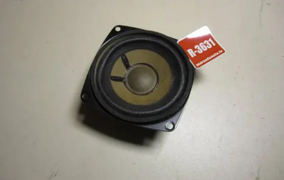 Panel speaker