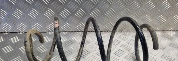 Renault Clio III Front coil spring