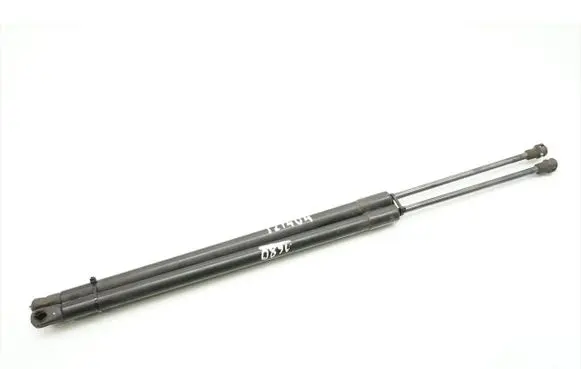 Tailgate/trunk strut/damper