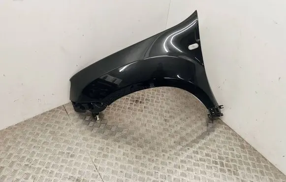 Dacia Duster Fender 