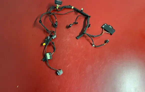 Other wiring loom
