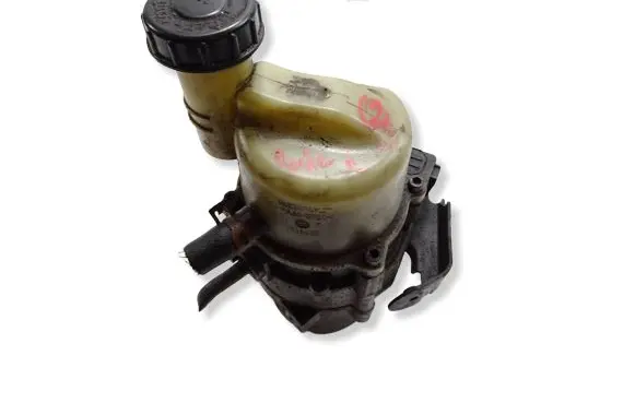 Dacia Sandero II Power steering pump 491108089R