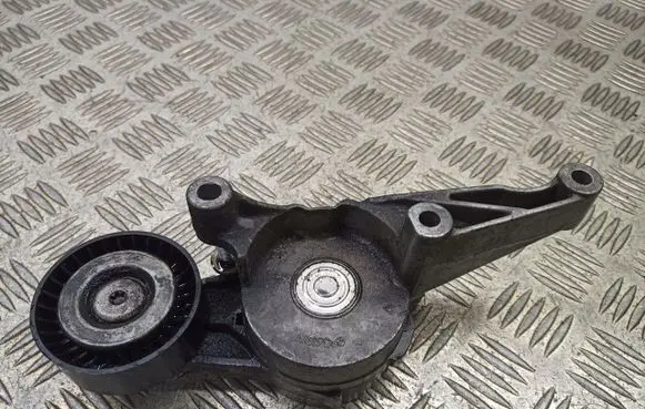 Skoda Octavia Mk2 (1Z) Alternator belt tensioner pulley 03G903315