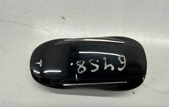 Tesla Model X Ignition key/card 105413295G