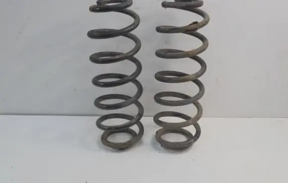 Rear coil spring
