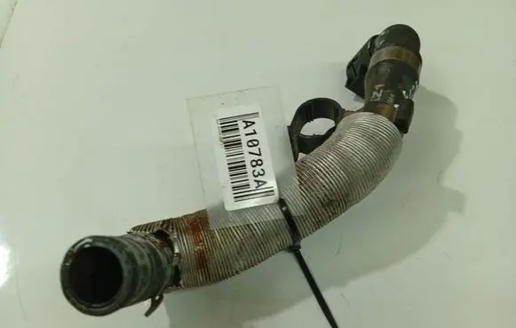 Opel Signum Engine coolant pipe/hose 