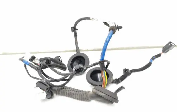Rear door wiring loom