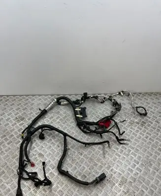 Engine installation wiring loom