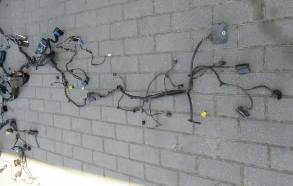 BMW 6 F12 F13 Positive wiring loom 778999J98999