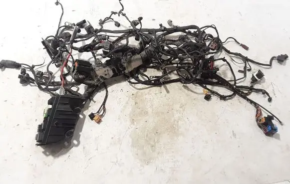 Skoda Superb B8 (3V) Other wiring loom 3V1970705B