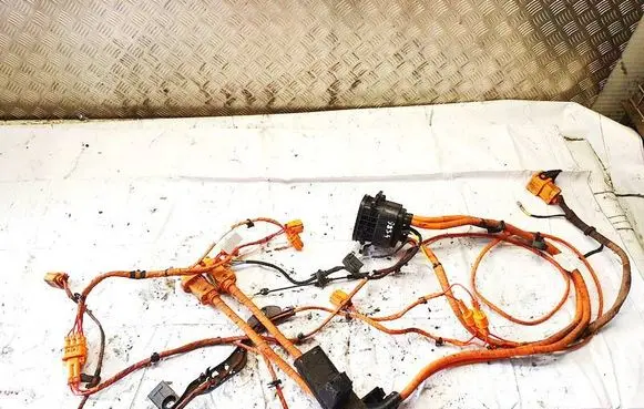 Cupra Born Other wiring loom 10a971531bh 1ea971398am