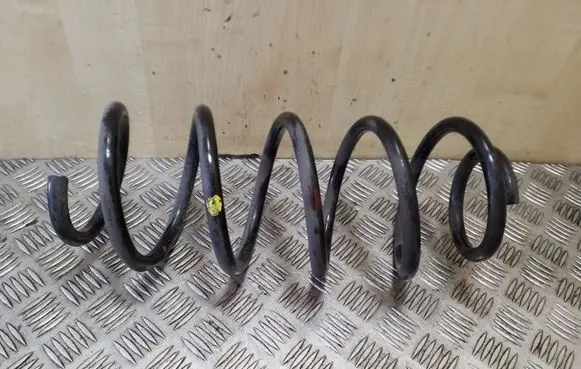 Chevrolet Captiva Front coil spring