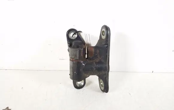 Front door lower hinge