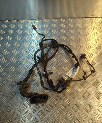 Audi A8 S8 D3 4E Front door wiring loom 4E0971030AC