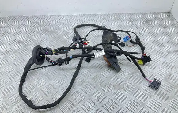 Audi A7 S7 4K8 Front door wiring loom 4K8971030BG