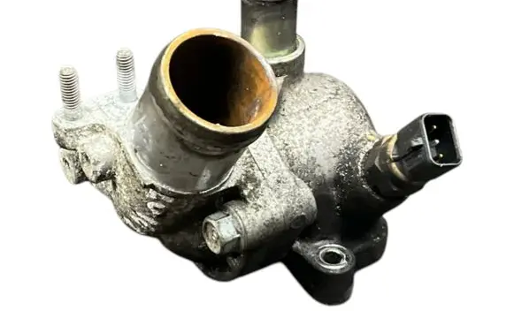 Thermostat/thermostat housing
