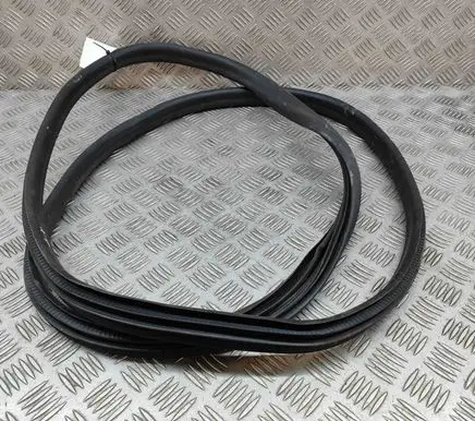 Renault Zoe Rubber seal rear door 769232904R