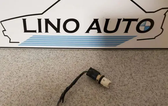 Front fender indicator light