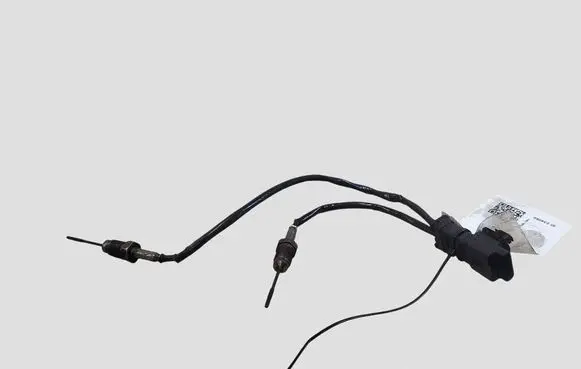 Citroen Berlingo Exhaust gas temperature sensor 9808312080