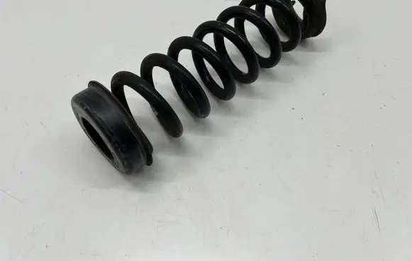 Rear coil spring