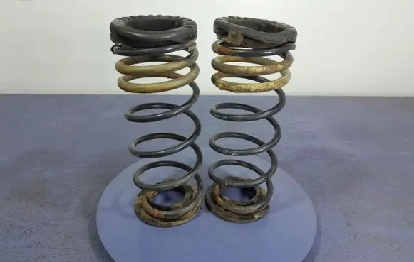 Hyundai i20 (PB PBT) Rear coil spring