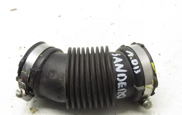 Dacia Sandero III Air intake hose/pipe 165750995R