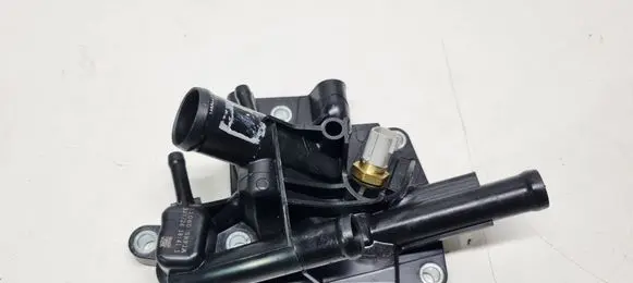 Thermostat/thermostat housing