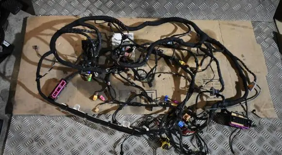 Porsche Panamera (971) Wiring harness TAB052281