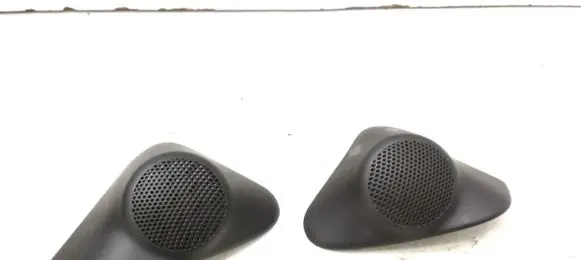 Front door high frequency speaker